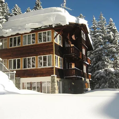 Suveran 2 * Arosa
